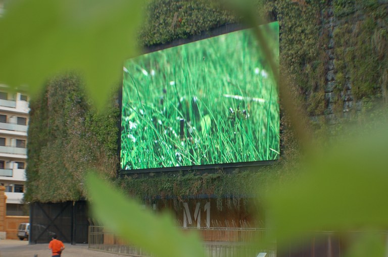 El Jardí Vertical de La Tabacalera, finalista dels prestigiosos premis Territorio & Márketing