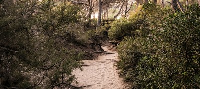Espais verds i parcs naturals