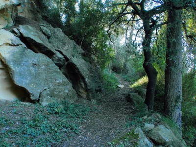 Camí de la Font del Garrot