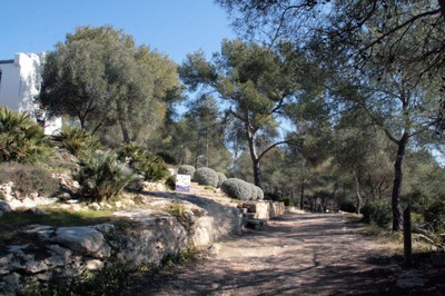 Pont del Diable 01