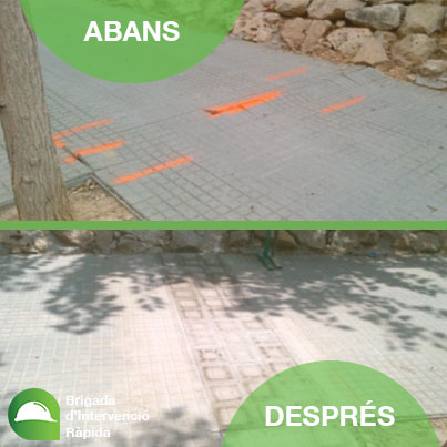 ad arrabassada juliol15