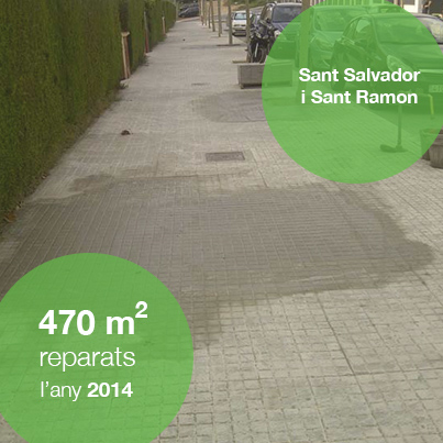 BIR - Metres quadrats Sant Salvador 2014