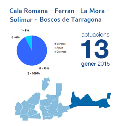 Estadístiques BIR gener - Cala Romana