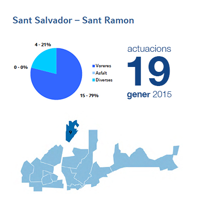 Estadístiques BIR gener - Sant Salvador