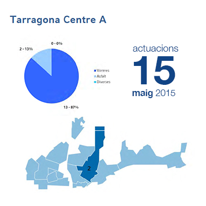 Estadístiques BIR maig - Centre A