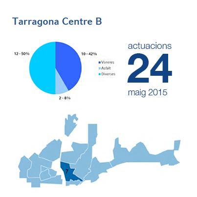 Estadístiques BIR maig - Centre B