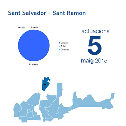 Estadístiques BIR maig - Sant Salvador