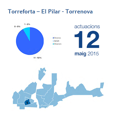 Estadístiques BIR maig - Torreforta