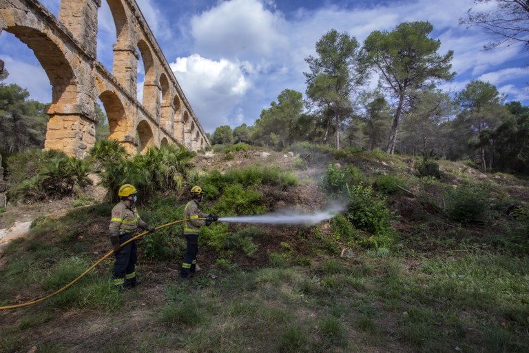 L'Ajuntament de Tarragona crearà una brigada forestal