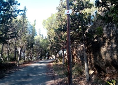 Tall de trànsit al camí del Llorito