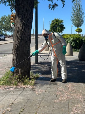 Tarragona posa en marxa el nou servei de control d'herbes