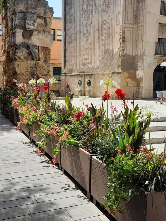 L'Ajuntament de Tarragona embelleix una vintena d'espais de la ciutat amb verd urbà