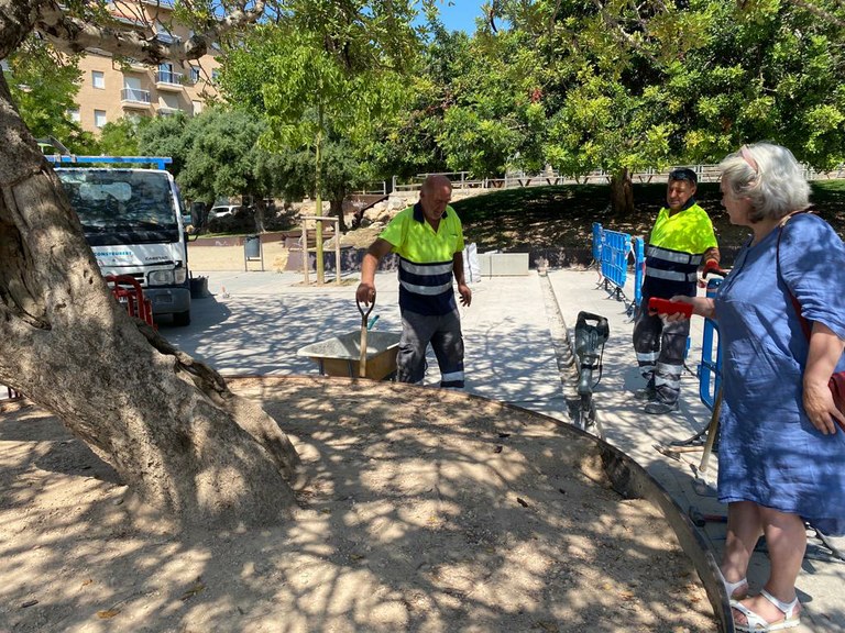 L'Ajuntament inicia la instal·lació d'un sistema de reg per al garrofer del parc de les Lletres Catalanes