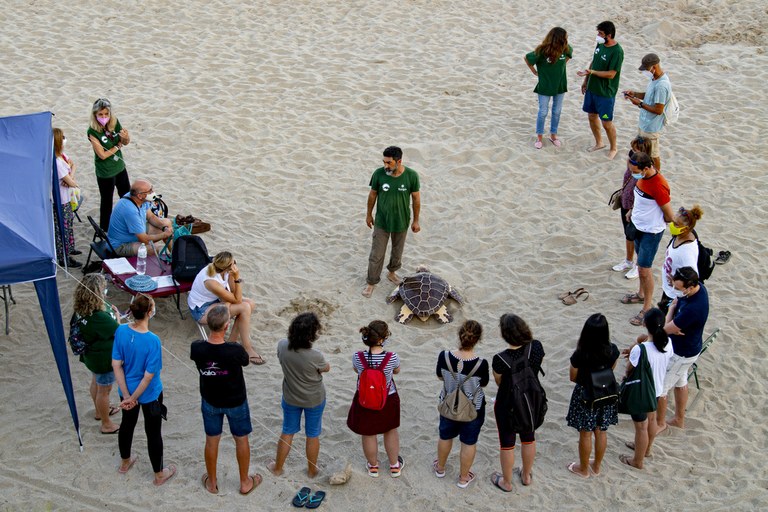 L'Ajuntament ofereix aquest estiu un cicle de formacions per a conèixer la fauna marina del litoral tarragoní 