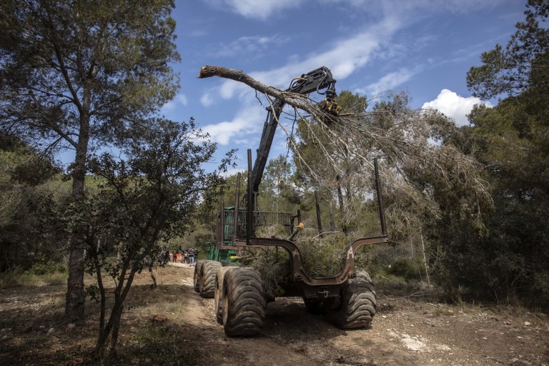 L'Ajuntament de Tarragona inverteix 500.000 euros en actuacions per a la prevenció d'incendis forestals a l'Anella Verda