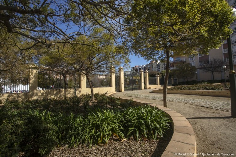 Parcs i Jardins enceta un projecte de naturalització de les rotondes