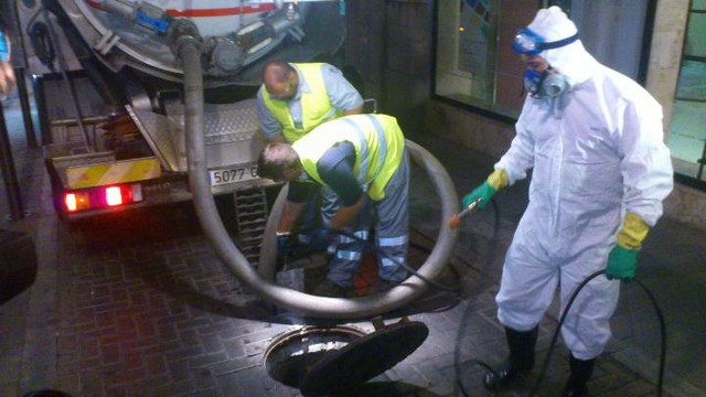 Tractament desinfecció paneroles Control plaga paneroles Tarragona (EMATSA)