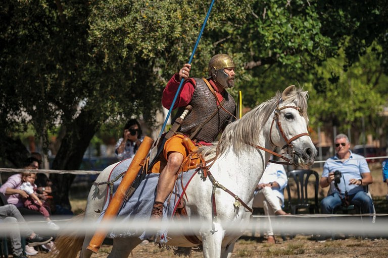 Auxilia equites. La cavalleria auxiliar, aliats al servei de l’Imperi - NOVETAT