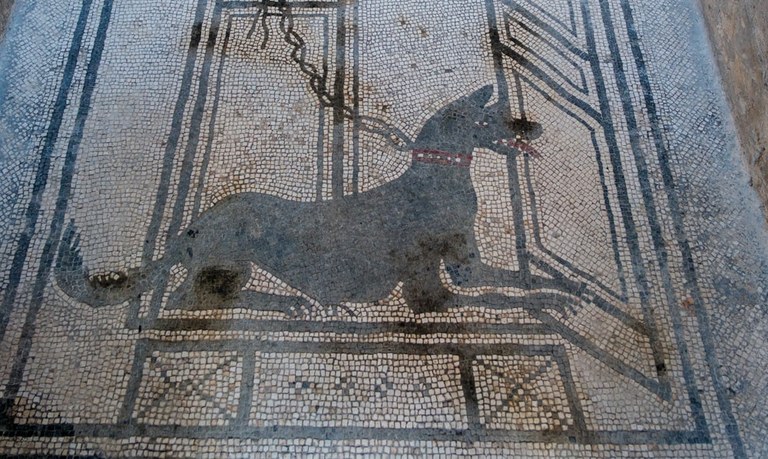  Cave Canem - NOVETAT