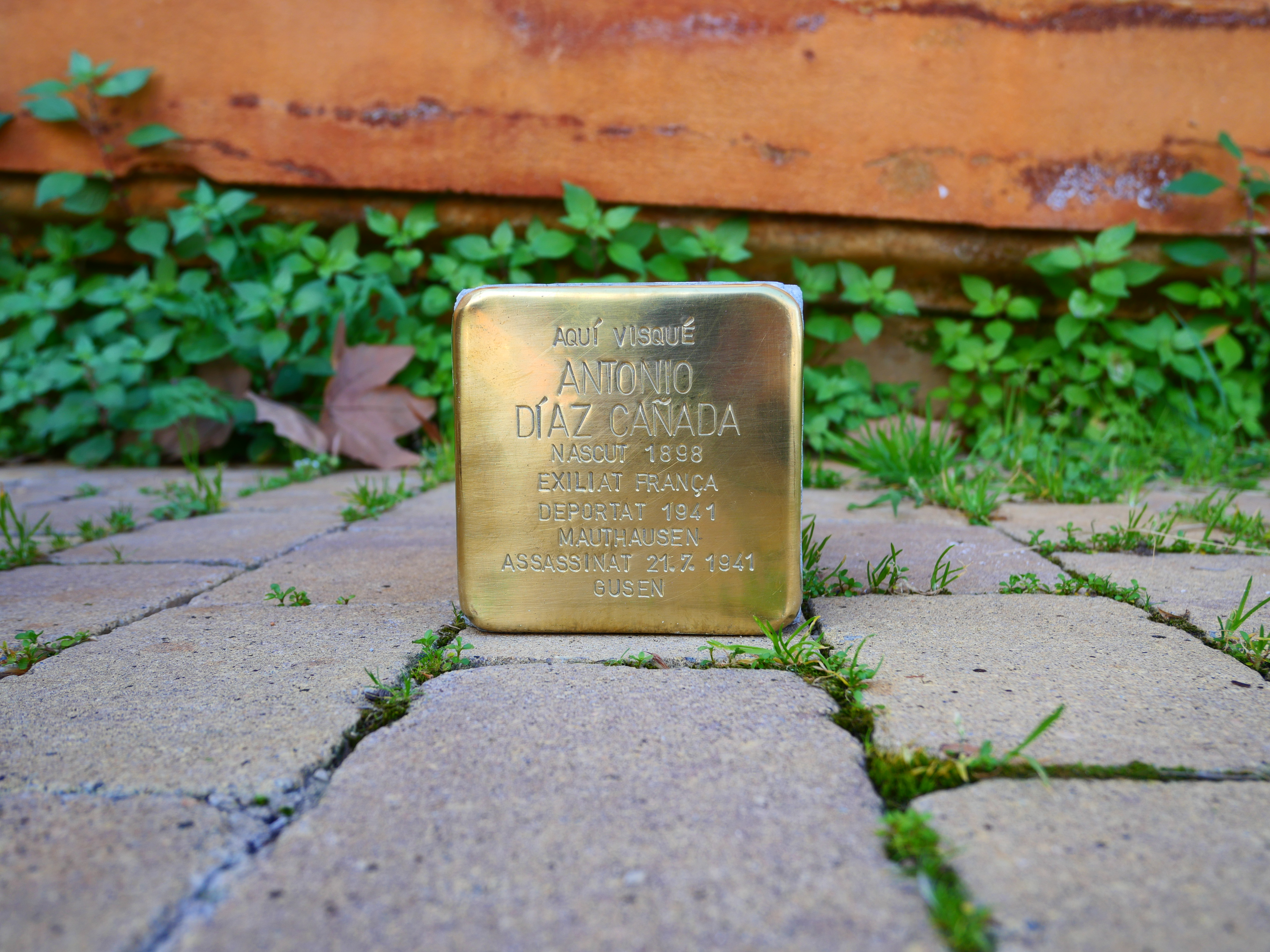 Col·locació de les llambordes Stolpersteine