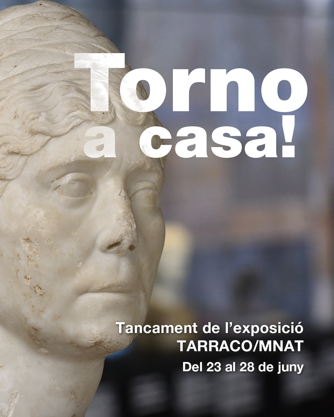 Torno a casa | Portes obertes al Tinglado 4