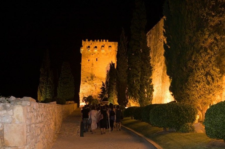 Nits del Patrimoni | Viu Patrimoni: Visita guiada al Passeig Arqueològic