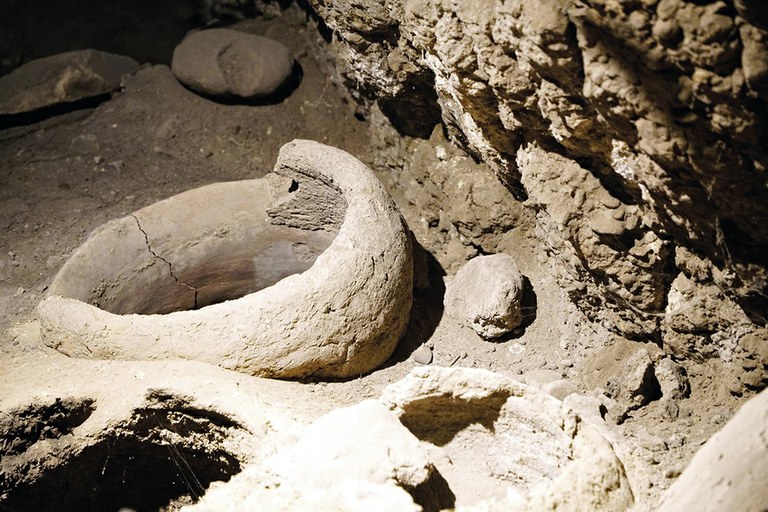 L’arqueologia del vi. Del Caucas a Roma, viatja entre vinyes i vins  - NOVETAT     
