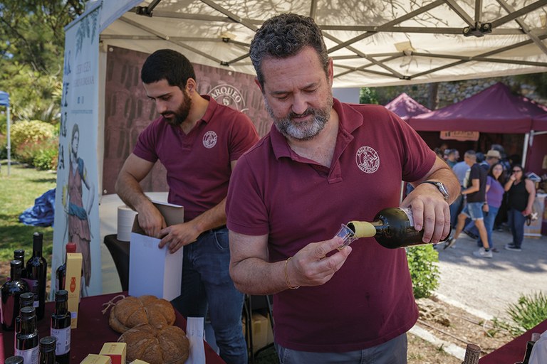 In vino veritas. Vitivinicultura i tècniques de producció de vi en època romana 