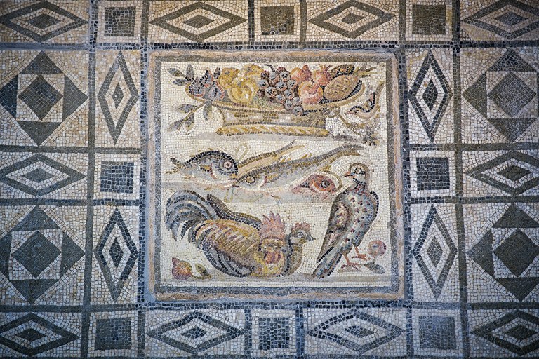 El llegat gastronòmic de l'antiga Roma - NOVETAT
