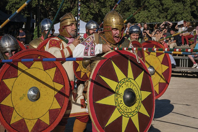 Els últims legionaris. L'exèrcit baiximperial