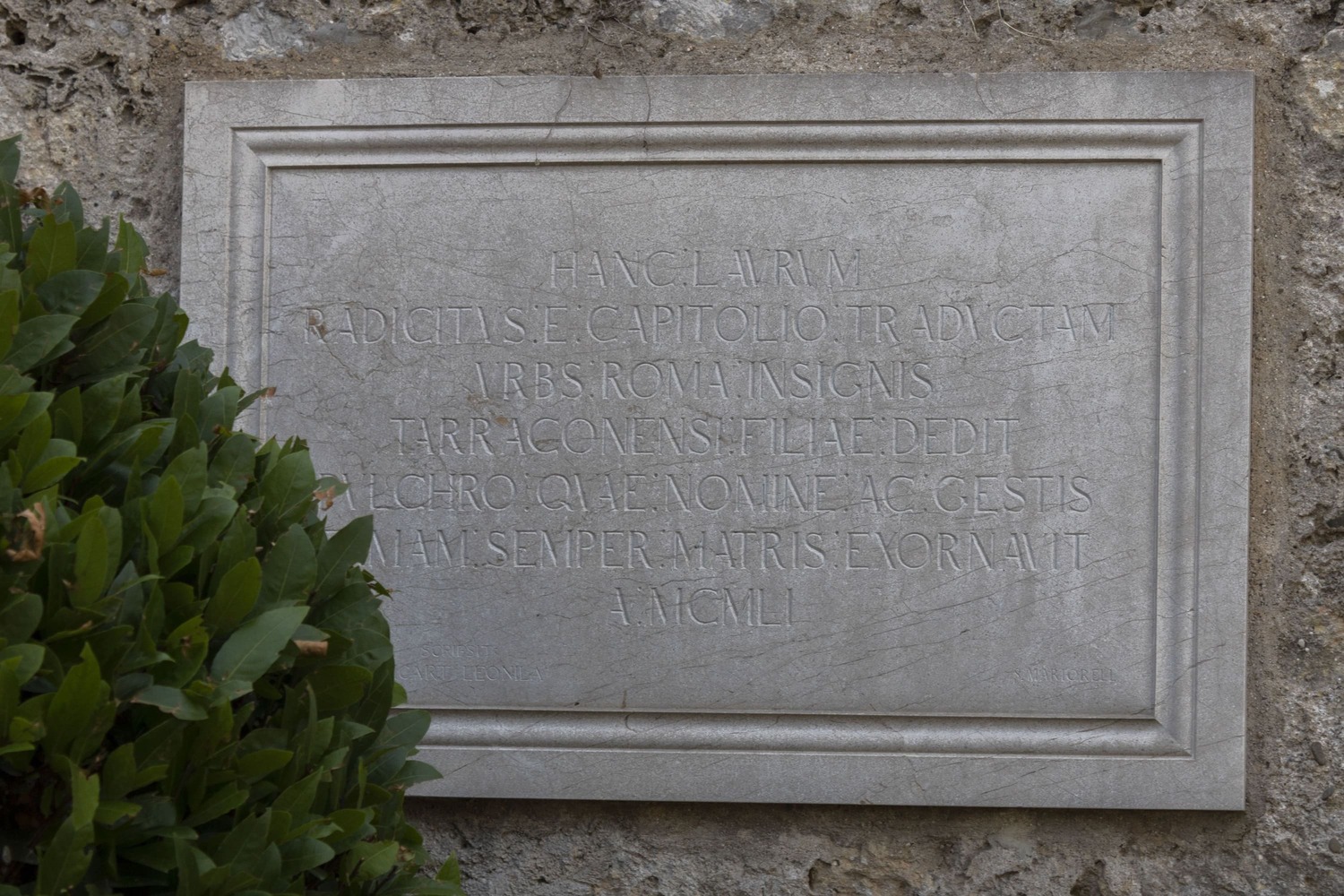 13. Placa del llorer del Capitoli  MG 1663