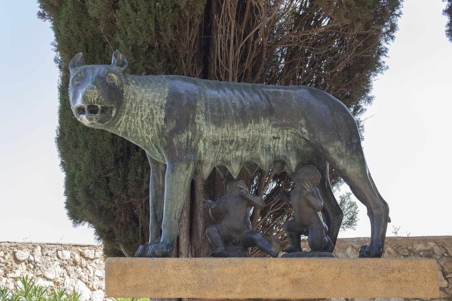 17. Lloba Capitolina  MG 1703