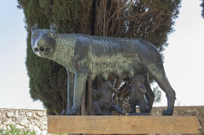 17. Lloba Capitolina  MG 1703