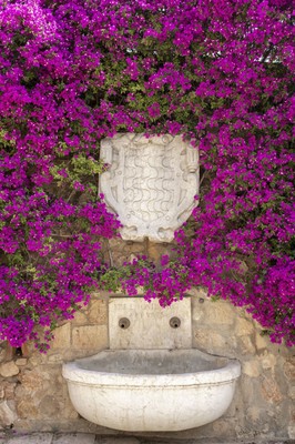 21. Font barroca  MG 1728