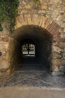 24. Sortida del Passeig Arqueològic  MG 1746