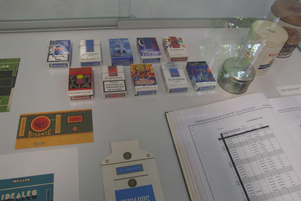 Exposició_10