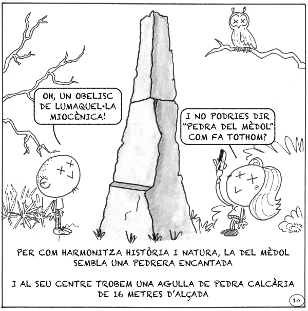 Vinyeta 14 — Lumaquel·la miocènica o pedra del Mèdol, material de les grans construccions de Tàrraco