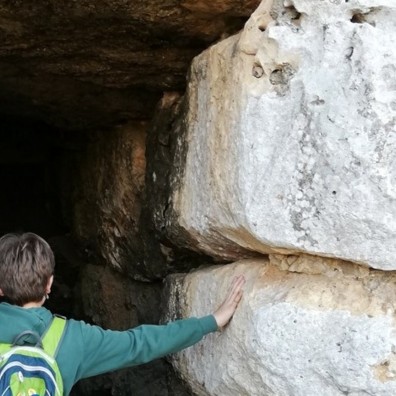 L'escola visita Tàrraco