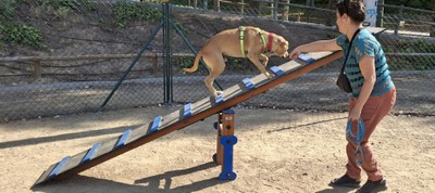 Tinença responsable