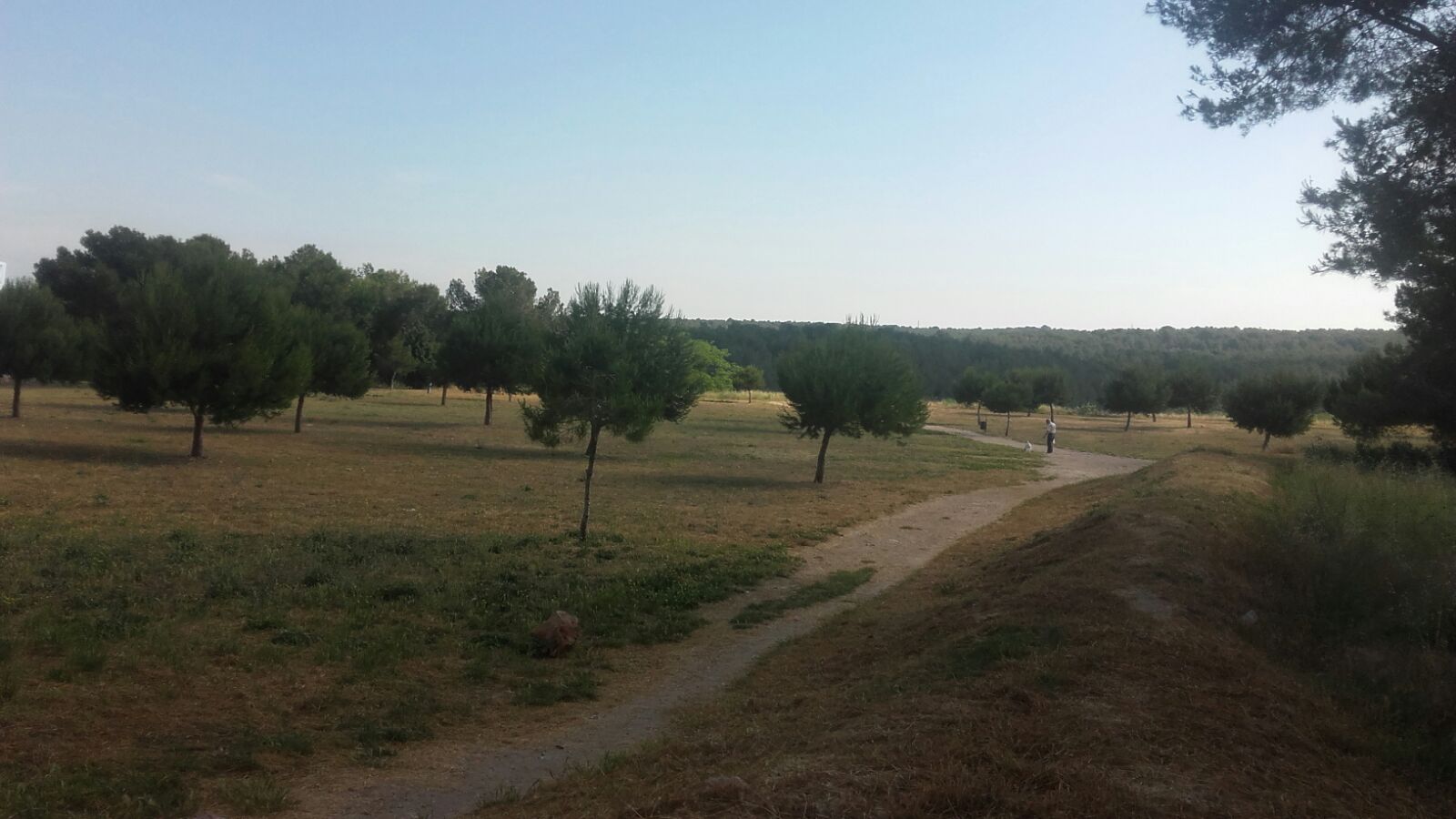 Sant Pere i Sant Pau