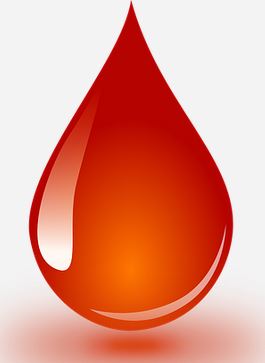 Marató de Sang 2019 - gota