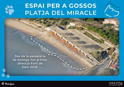 Cartell platja gossos Miracle