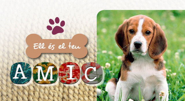 És el teu amic. Campanya