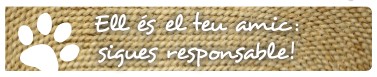 És el teu amic. Sigues responsable
