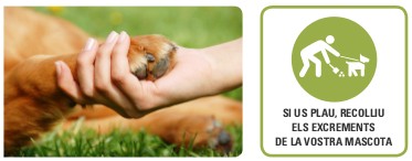 És el teu amic. Consells