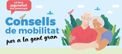 Consells de mobilitat