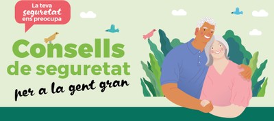 Consells de seguretat 