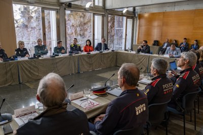 La Junta Local de Seguretat reforça la col·laboració policial i l’aposta per la policia de proximitat