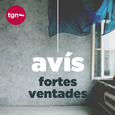 L'Ajuntament de Tarragona activa el Pla d'Actuació Municipal en fase d'alerta per risc de vent