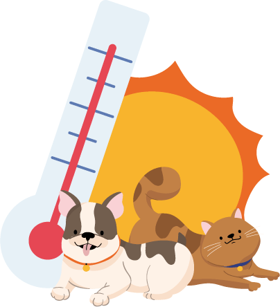 logo animals companyia